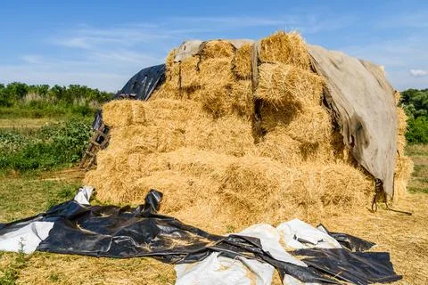 Pile of the rectangular straw bales on a farmyard Stock Photos