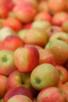 Pile of red apples Stock Photos
