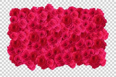 Pile of red rose Stock Illustration