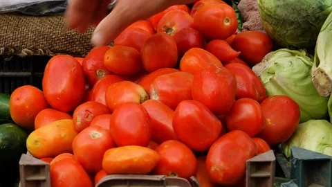 Pile of red tomatoes Stock Footage 106314188