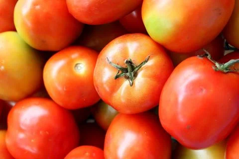 Pile of red tomatoes Stock Photos