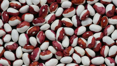Pile of red-white beans 库存影片 151922770