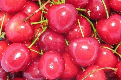 A pile of ripe cherries Fotos Stock