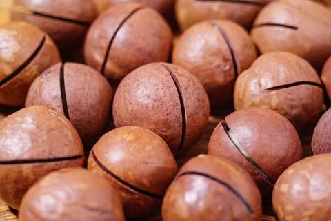 Pile Roasted Macadamia Nuts Pattern Texture Background, Side View. Natural Shell Stock Photos