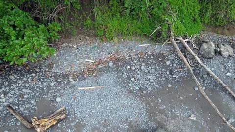 A pile of rocks and branches on the ground with trees nearby Stock Photos