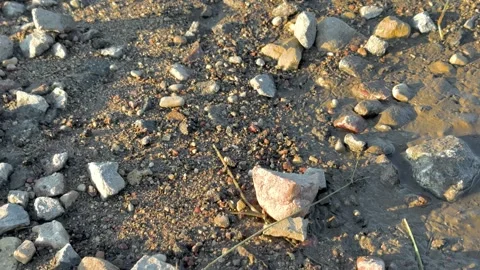 Pile of rocks on the sand, close-up, macro beach landscape Stock Footage 329057373