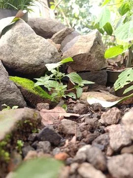 Pile of rocks on the side of the road Stock Photos