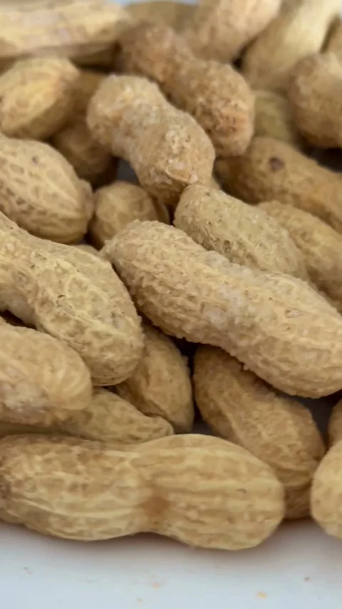 Pile of salted peanuts in shells on white plate Video stock 331983220
