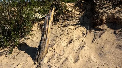 A pile of sand with a tree in the background, surrounded by grass and landscape Stock Photos