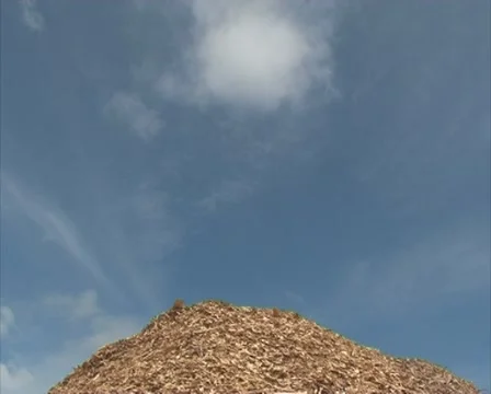 Pile sawdust wood shaving Stock Footage