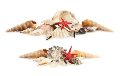 Pile of seashells Stock Photos