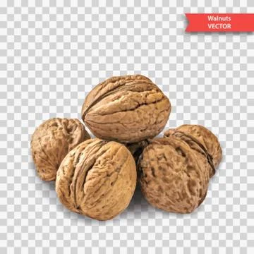 A pile of several walnuts on a transparent background. Object Decor for New Y 스톡 일러스트