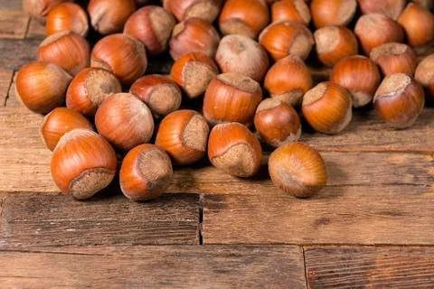 A pile of shelled hazelnuts. Stock Photos