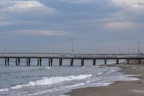 A pile of shells on the beach, some of which are broken Stock-Fotos