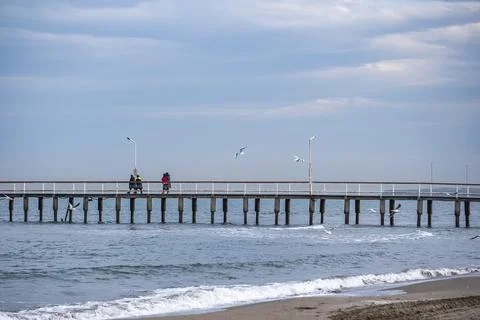 A pile of shells on the beach, some of which are broken Stock-Fotos