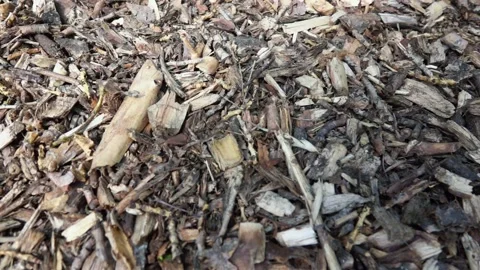 Pile of slivers from a tree 動画素材 132440991