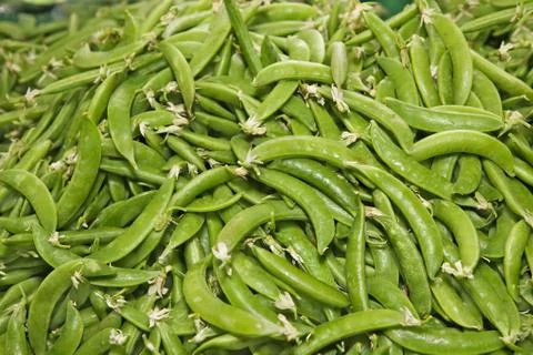 Pile of snap peas Stock Photos