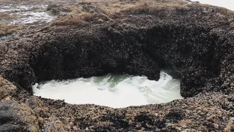 A pile of snow Stock Footage 156020964