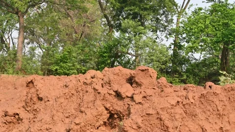 Pile of soil. Vídeo Stock 311014680