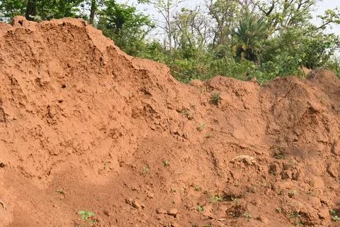 Pile of soil. Stock Photos
