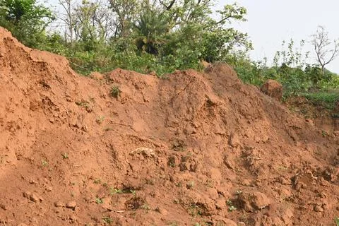 Pile of soil. Stock Photos