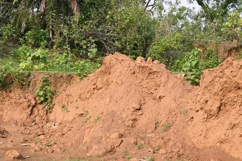 Pile of soil. Stock Photos