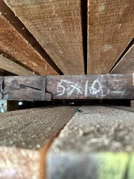 A pile of solid wood with macro mode Stock Photos