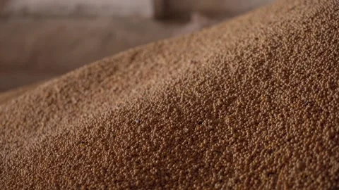 A pile of soybean grain in storage. Stock Footage 276367951