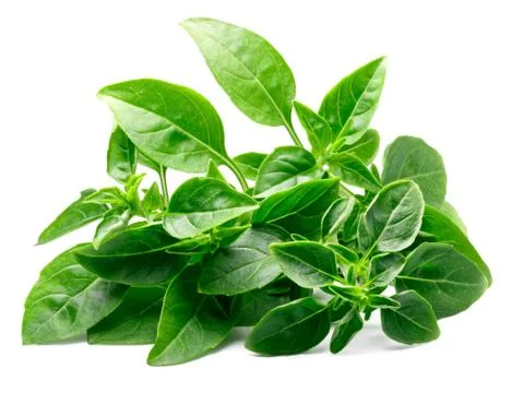 Pile of spice globe basil, paths Stock Photos