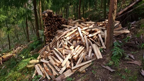 A pile of split firewood is stacked together Stock Footage 329549346