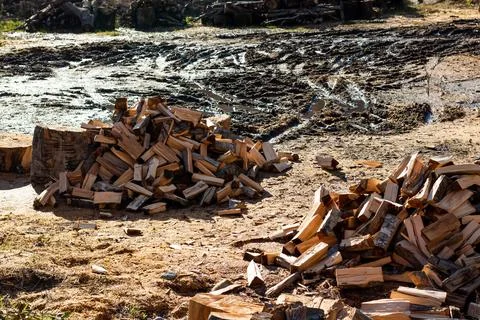 Pile of split logs for firewood with sunlight in the muddy countryside Stock Photos