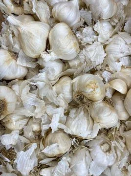 Pile stack of white onions or garlic  and peels  farmers market grocery 스톡 사진