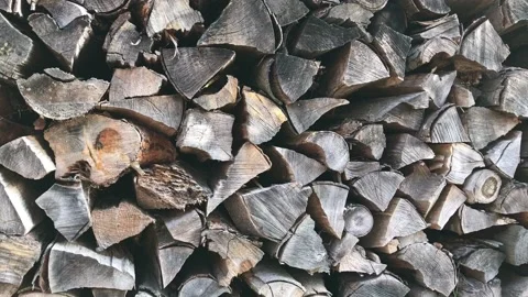 Pile of stacked firewood Stock Footage 103311325