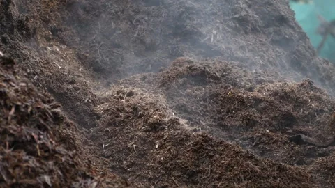 Pile of steaming organic compost stored in an agricultural field Stock Footage 305779900