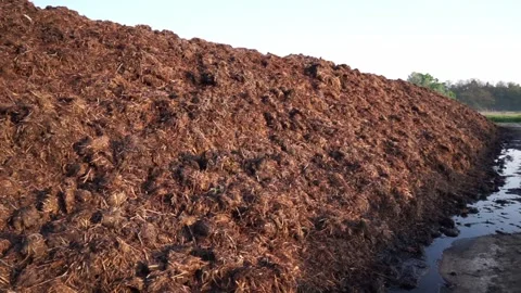 A pile of stinking manure lies Video stock 243825419