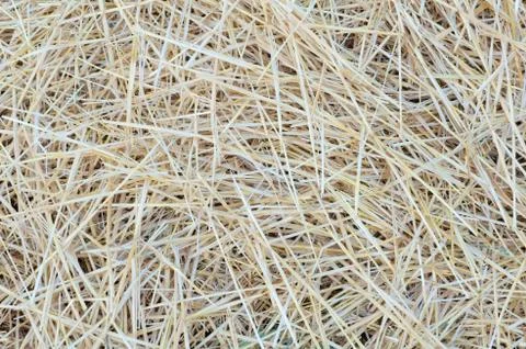 Pile of straw close-up 库存照片