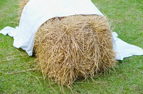 Pile of straw on grass background Stock Photos