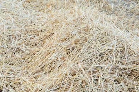 Pile of straw Stock Photos