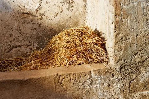 Pile of Straw on Rustic Surface in Natural Light Setting Stock Photos