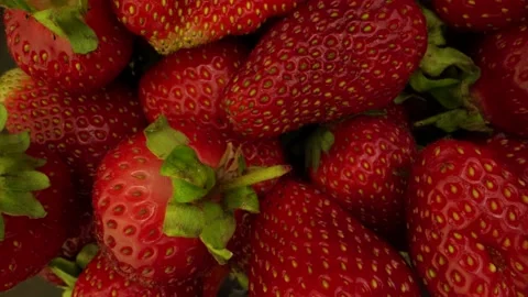 Pile Of Strawberries with Bug on top of it Getting Filled with Water  Stock Footage 131800414