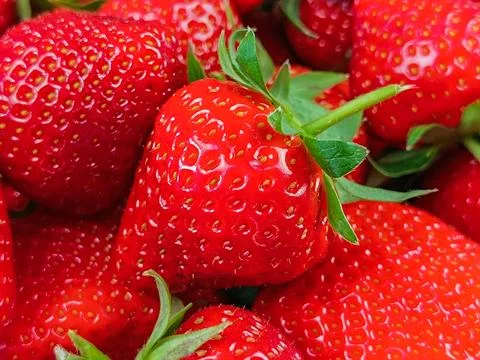 Pile of strawberries, close-up Stock Photos