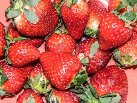 Pile of strawberries - macro view Photos