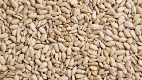 Pile of sunflower seeds without shell rotating. Texture of sunflower kernels Video stock 289448643