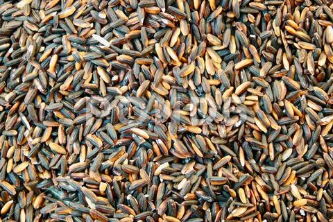 Pile of thai black glutinous rice or sticky rice Stock Photos