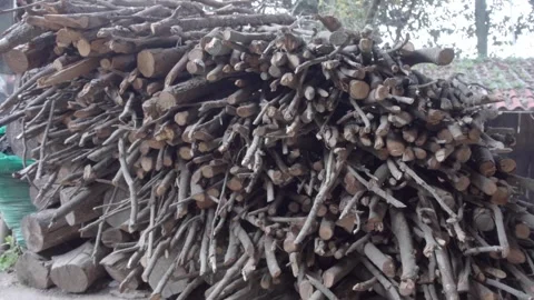 A pile thick logs and thin branches for firewood stacked at the yard of a Stockbeeldmateriaal 255722101