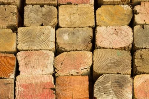 Pile of timber 写真素材