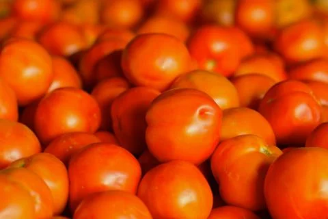 Pile of tomatoes Stock Photos