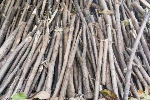 Pile of tree branches composition as a background texture Stockfoto's