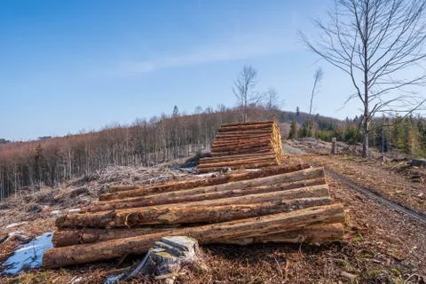 A pile of tree trunk in the mountains ready for transport Stock Photos