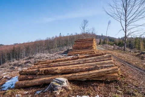 A pile of tree trunk in the mountains ready for transport Stock Photos